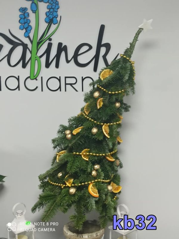 Lublin, kwiaciarnia, kwiaty doniczkowe